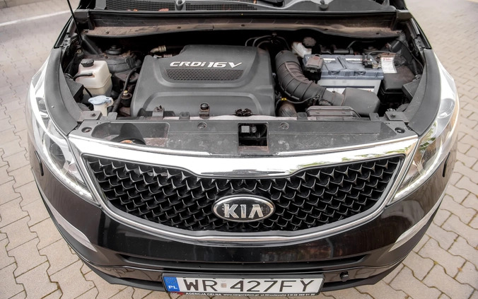 Kia Sportage cena 55900 przebieg: 191000, rok produkcji 2014 z Radom małe 667